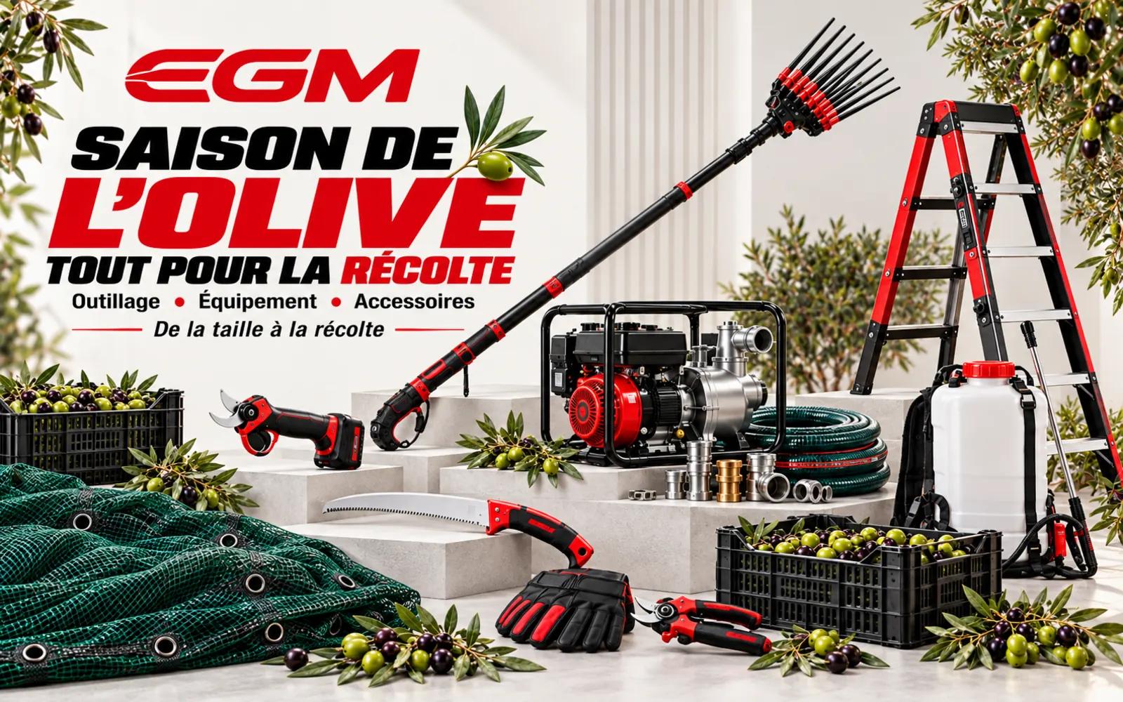 Saison de l’olive : tout pour la récolte — outillage, équipement et accessoires