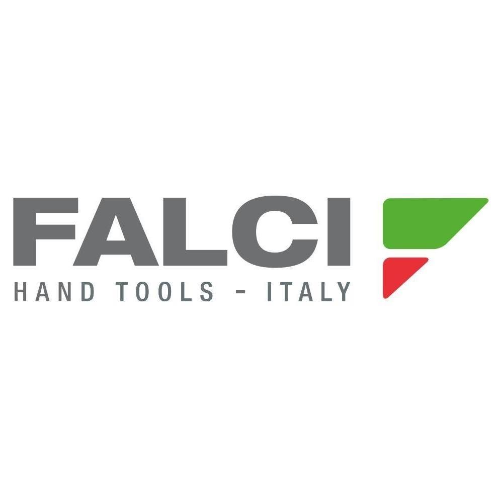 FALCI logo