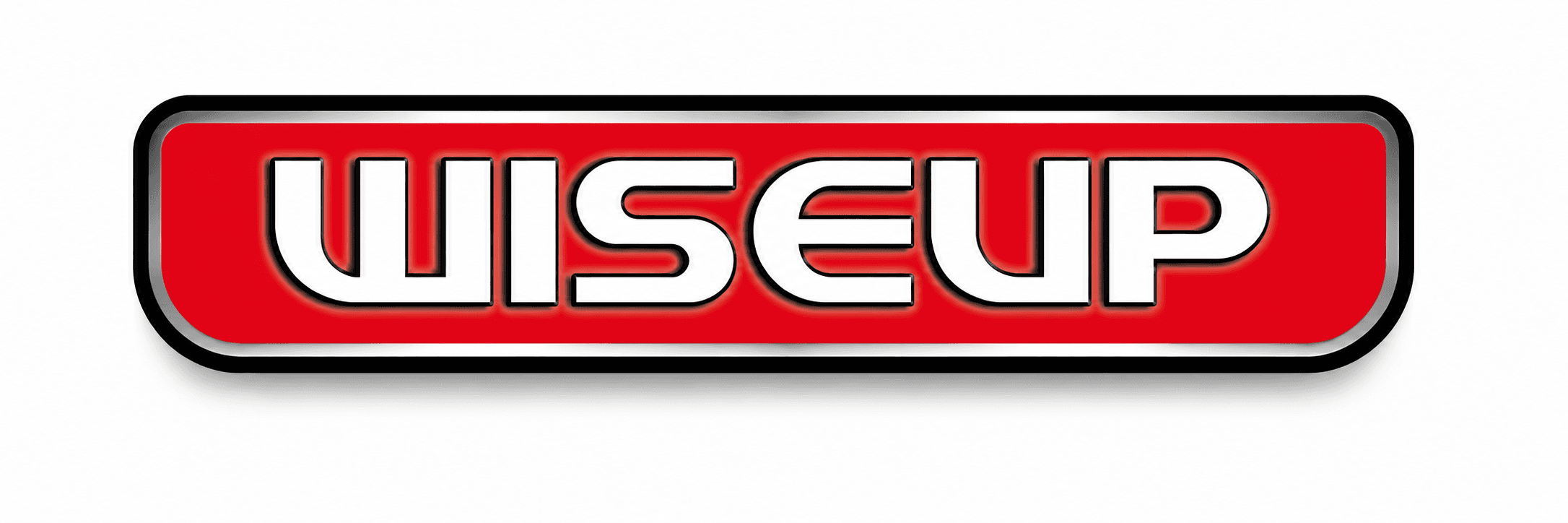WISEUP logo
