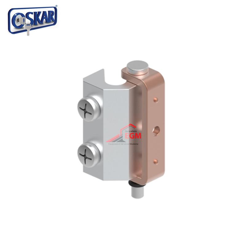 CHARNIERE D'ARMOIRE METALIQUE ZAMAK ART 309-1 OSKAR