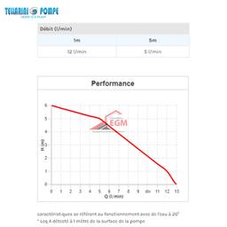 POMPE TRANSVERSAL LAITON Ø 20 (0.5 / HP) 220V TELLARINI - Image 3
