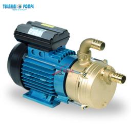 POMPE TRANSVERSAL LAITON AVEC CHARIOT Ø 40 (1.2 / HP) 220V TELLARINI - Image 1