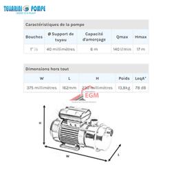 POMPE TRANSVERSAL LAITON AVEC CHARIOT Ø 40 (1.2 / HP) 220V TELLARINI - Image 3