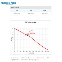 POMPE TRANSVERSAL LAITON AVEC CHARIOT Ø 40 (1.2 / HP) 220V TELLARINI - Image 4