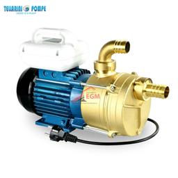 POMPE TRANSVERSAL LAITON AVEC CHARIOT Ø 30 (1.0 / HP) 220V TELLARINI - Image 1