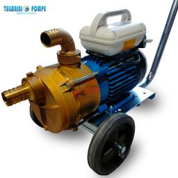 POMPE TRANSVERSAL LAITON AVEC CHARIOT Ø 30 (1.0 / HP) 220V TELLARINI - Image 2