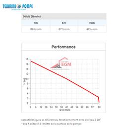 POMPE TRANSVERSAL LAITON AVEC CHARIOT Ø 30 (1.0 / HP) 220V TELLARINI - Image 3