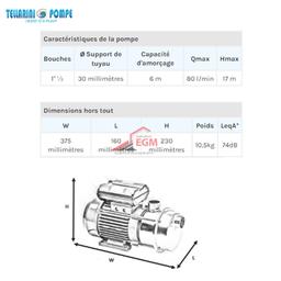 POMPE TRANSVERSAL LAITON AVEC CHARIOT Ø 30 (1.0 / HP) 220V TELLARINI - Image 4