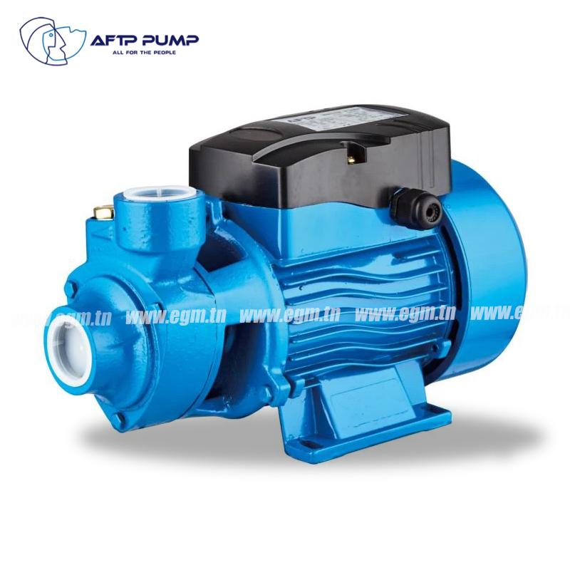 MOTO POMPE 1.0 HP 220V BLEU AFTP PUMP
