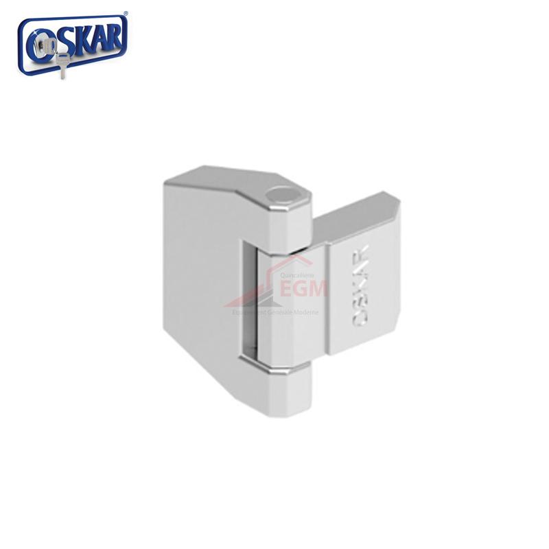 CHARNIÈRE CHROME DE COUVERCLE DE PANNEAU OSKAR