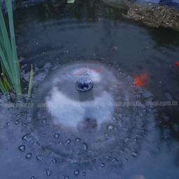 POMPE FONTAINE HJ-1843 40W 2.5 METRE 1800L/H - Image 7