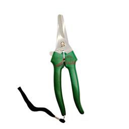 SECATEUR FLEUR ET FERUIT LAME DROIT EN INOX 190MM DS GARDEN - Image 1