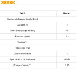 PALAN A CHAINE ELECTRIQUE 1.0T CHAINE 12M 380V DERSK - Image 2