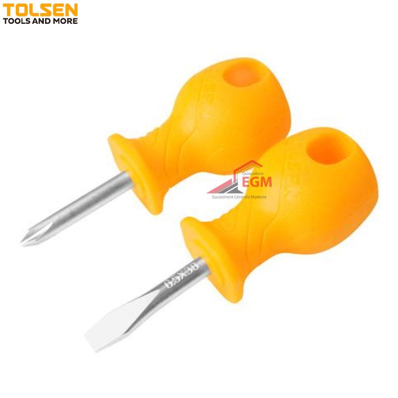 JX DE TOURNEVIS 2PCS FR/AM POIGNEE ANTIDERAPANTE CR-V PH 2X38/6.5X38 MAGNT TOLSEN