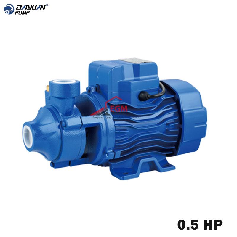 MOTO POMPE PERIPHERIQUE 0.5 HP 220V 1"X1" DAYUAN