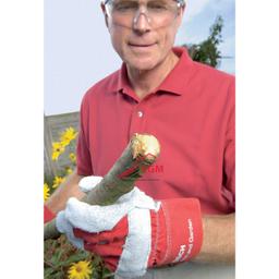 BROYEUR AXT RAPID 2200 DÉCHIQUETEUSE (Ø MAX. 40 MM) BOSCH - Image 6