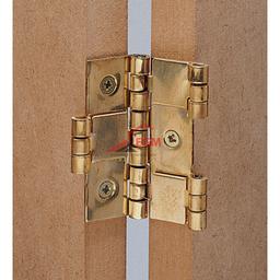 CHARNIERE DE PARAVENT EN ACIER LAITONNE 60X25MM 2PCS VYNEX - Image 2