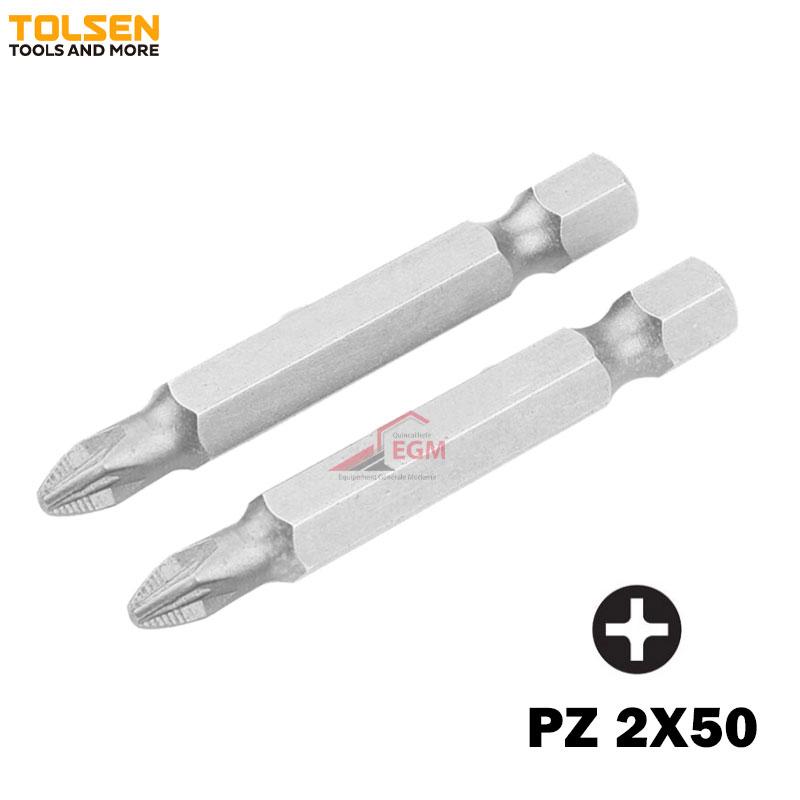 JEUX DE 2 EMBOUT DE T VIS PZ 2X50 TOLSEN