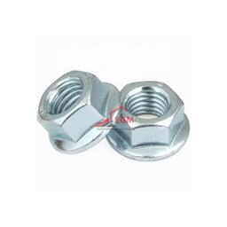 ECROU EMBASE EN ACIER ZINGUE "S.8" DIN 6923 ( PACK DE 100 PCS ) - Image 3