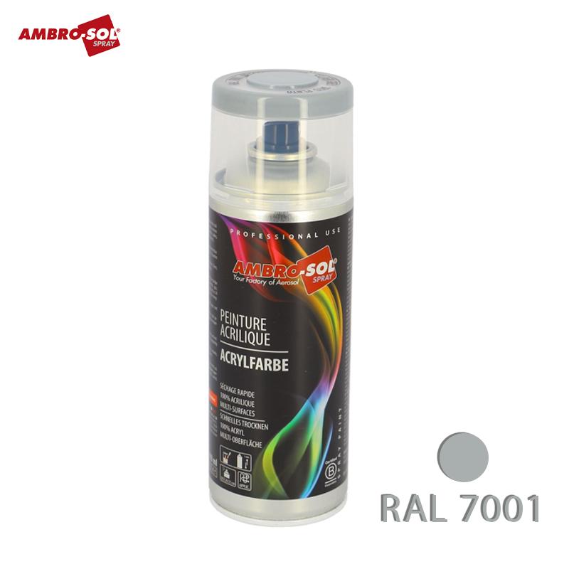 BOUTEILLE PEINTURE ACRYLIQUE GRIS 400 ML RAL7001 AMBRO-SOL