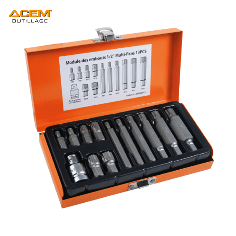 COFFRET EMBOUT MALE 12P 1/2" 13PCS 6-16MM TT5313C ACEM