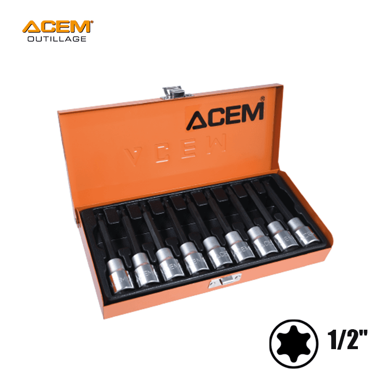 COFFRET CLE DOUILLE TORX TROUE 1/2" TT210302-010 ACEM