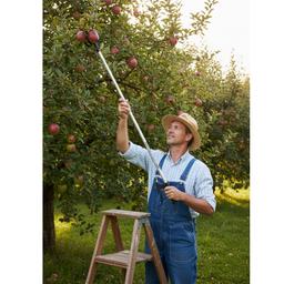 CUEILLEUR DE FRUIT MANCHE 145 CM EN ALUMUNIM - Image 5