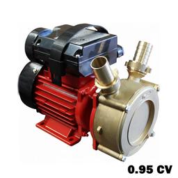 POMPE POUR TRANSFER LIQUIDE EN LAITON AVEC CHARIOT D30MM 0.95 CV 0.7KW CHINA - Image 2