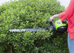 TAILLE-HAIE À ESSENCE 25 CC VITO - Image 2