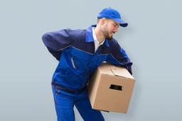 Diable de bagage 2 roue avec pelle fixe 350kg CARGO - Image 2