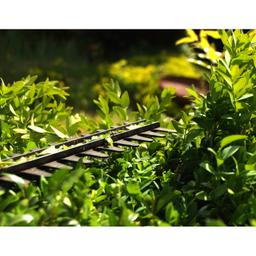 TAILLE HAIE ELECTRIQUE 550W 220V VITO - Image 4