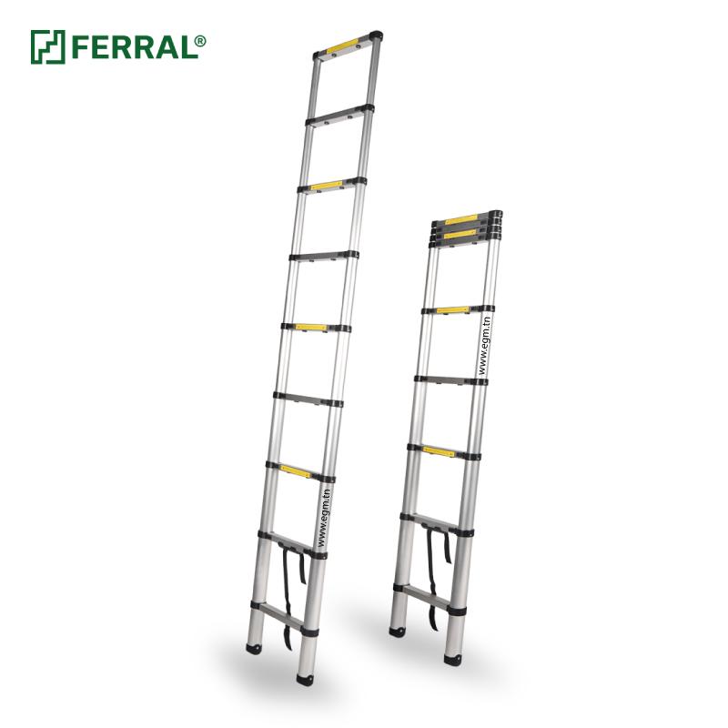 Echelle simple télescopique en aluminium Ferral