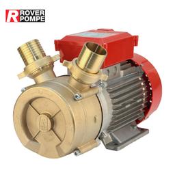 POMPE TRANSVERSAL LAITON BEM 50 3.0 CV ROVER - Image 1