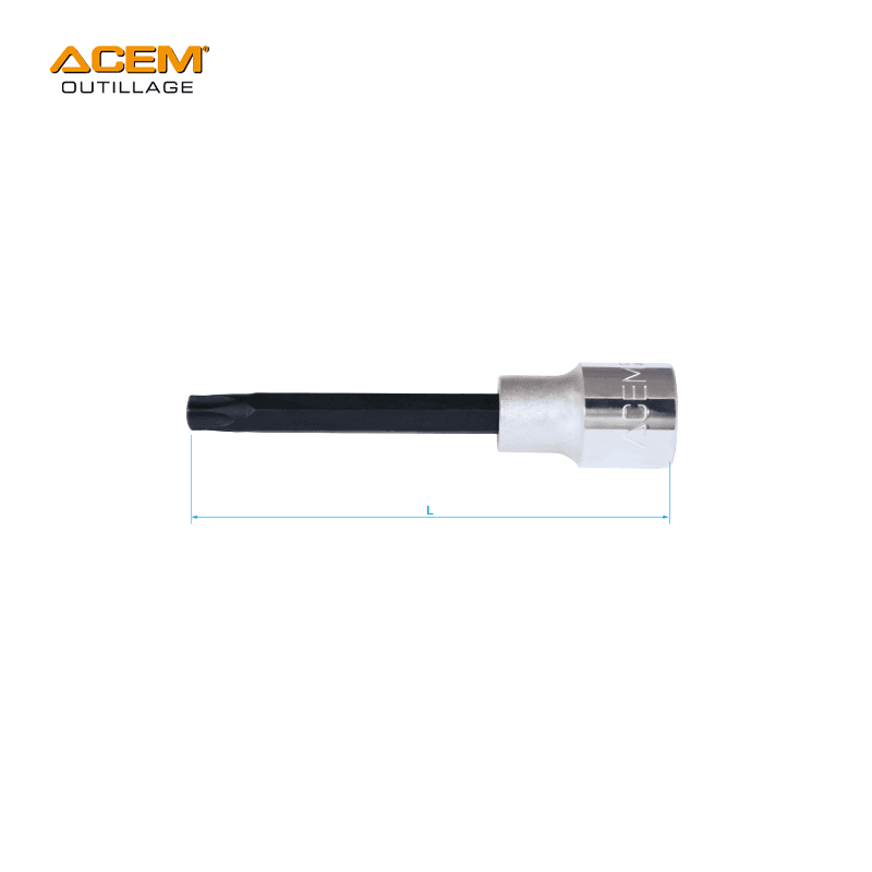 CLE A DOUILLE MALE TORX 1/2" ACEM