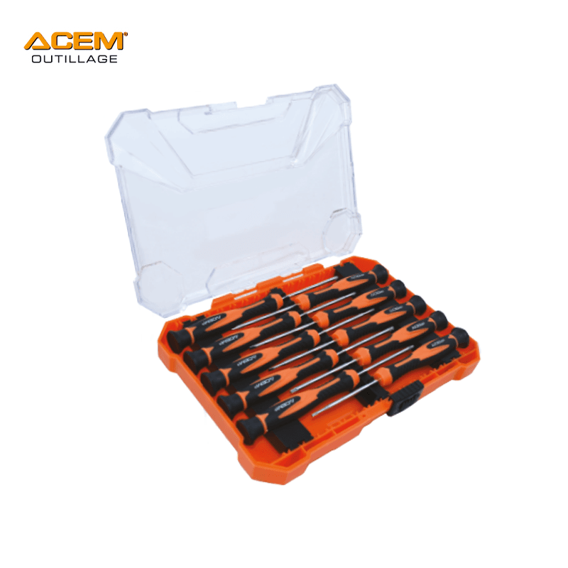 JEUX DE TOURNEVIS PRECISION FR & AM CR.V 10 PCS TP10 ACEM