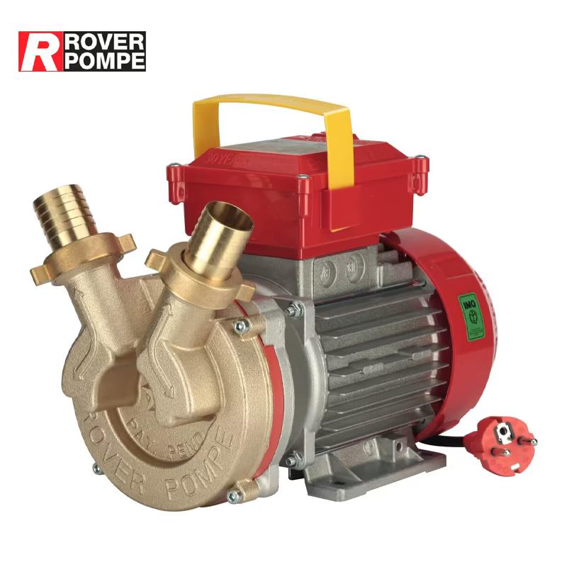 Pompe de transvasement Rover BE-M 50, électropompe réversible 3 CV en bronze