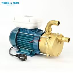 Pompe de transvasement Tellarini ENM 25 en laiton, moteur 0,6 HP 220 V