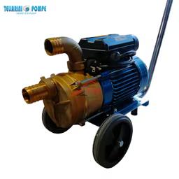 Pompe Tellarini ENM 40 en laiton sur chariot, moteur 1,2 HP 220 V