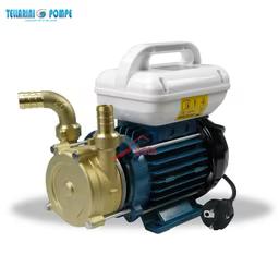 Pompe de transvasement Tellarini EEM 20 en laiton, moteur 0,5 HP 220 V
