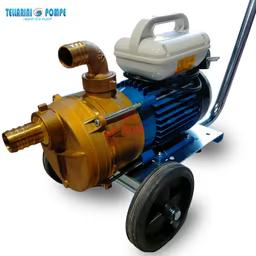Pompe Tellarini EEM 30 en laiton sur chariot, moteur 1 HP 220 V
