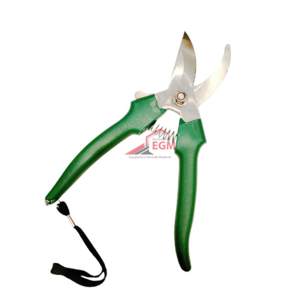 SECATEUR FLEUR & FERUIT LAME COURBE EN INOX 190MM DS GARDEN