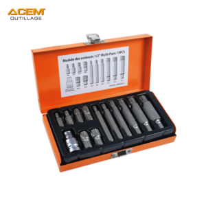 COFFRET EMBOUT MALE TORX 1/2" 13PCS T30-T60 TT5313B ACEM EXTRA