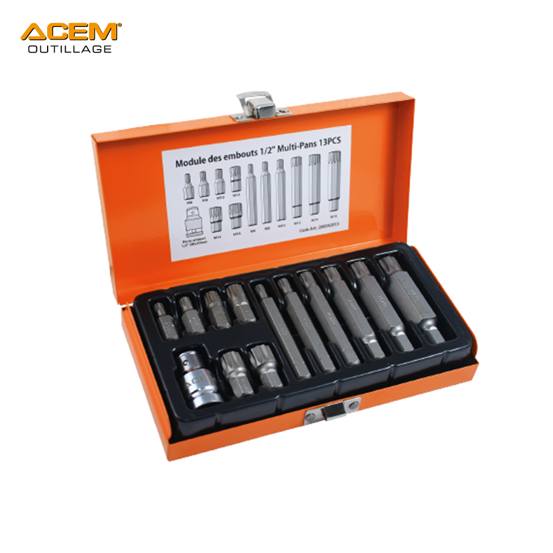 COFFRET EMBOUT MALE TUBE 1/2" 13PCS 6-16MM TT5313A ACEM EXTRA COFFRET EMBOUT MALE TUBE 1/2" 13PCS 6-16MM TT5313A ACEM EXTRA