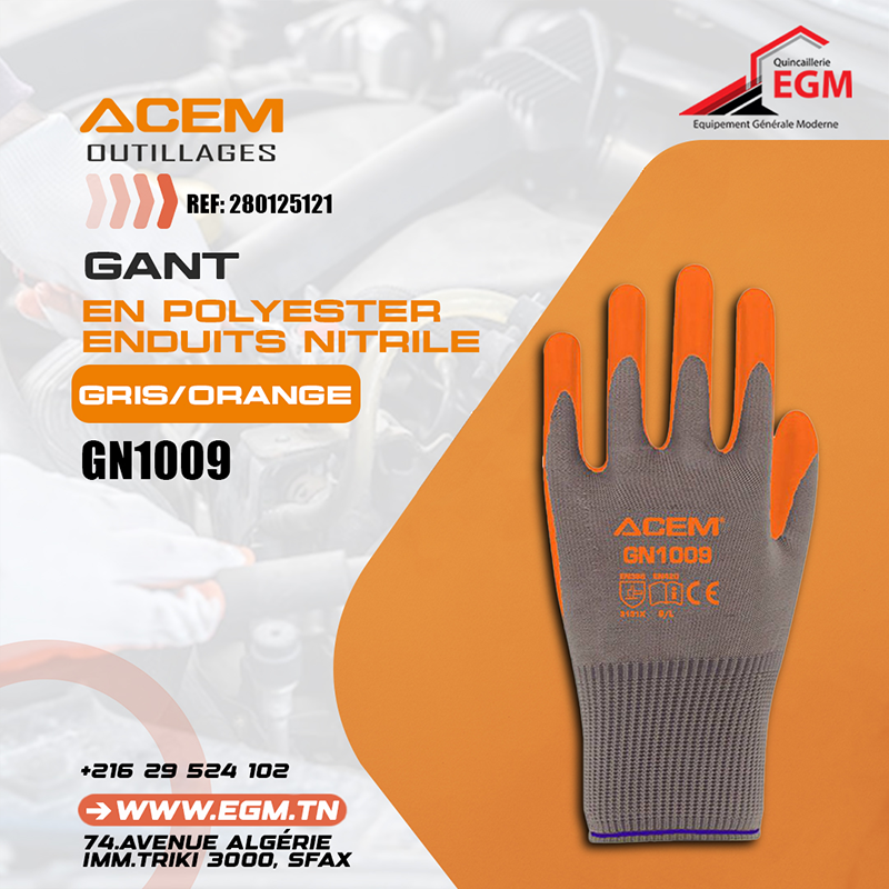 PAIRE GANT INDUSTRIEL EN POLYESTER AVEC PAUME NITRIL GN1009 PAIRE GANT INDUSTRIEL EN POLYESTER AVEC PAUME NITRIL GN1009