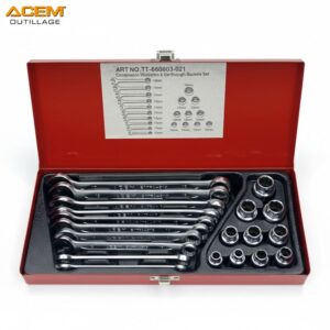 COFFRET CLE A DOUILLLE & MIXTE 21PCS TT660-021M ACEM